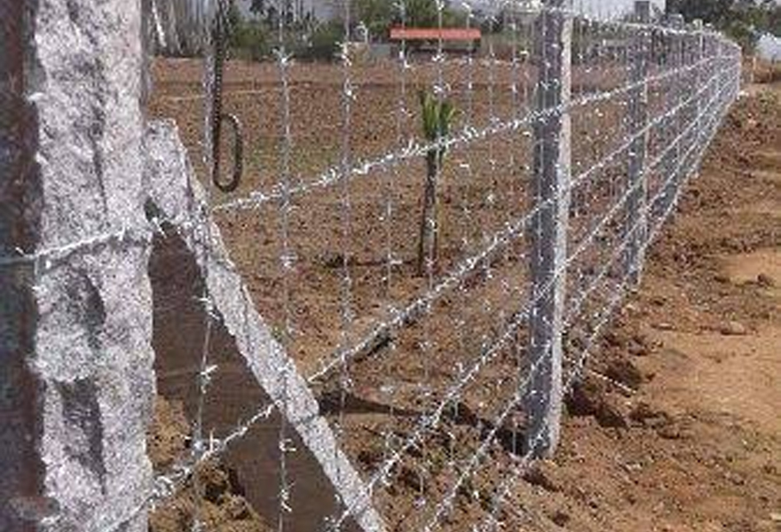 Barbed Wire Fencing