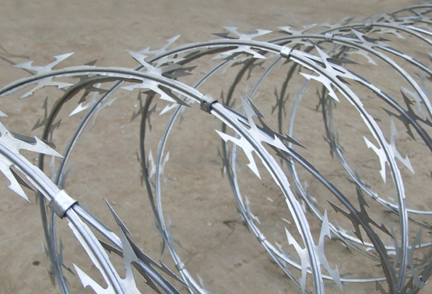 Concertina Wire